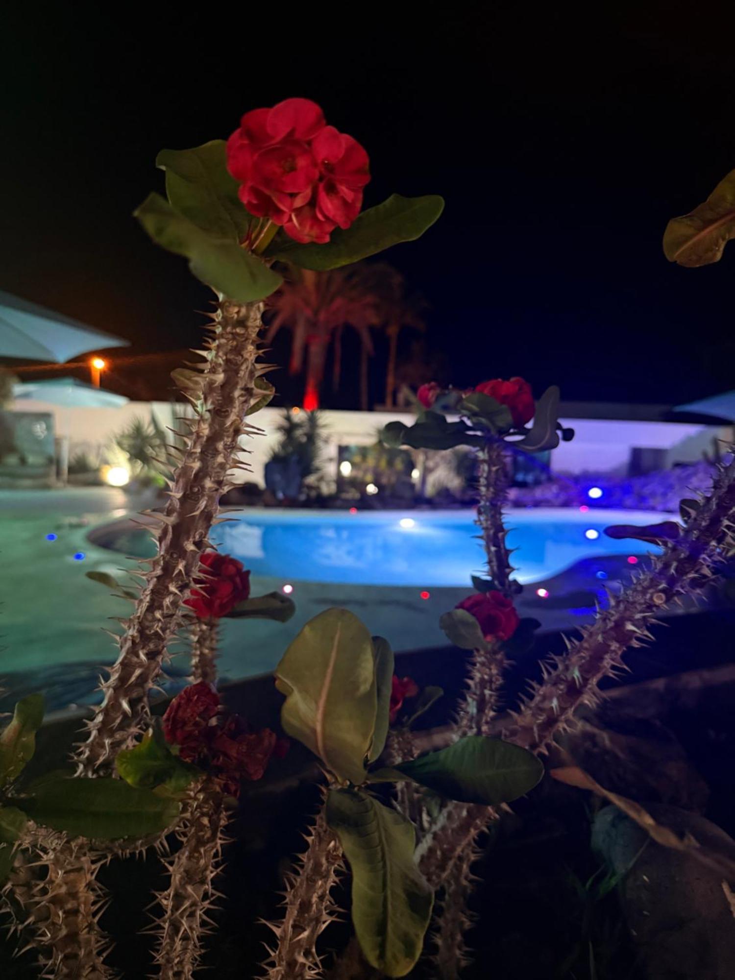 Paraiso Villas Playa Paraiso  Dış mekan fotoğraf
